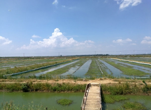 南河古渡養殖基地