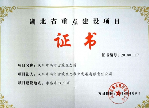 省重點項目證書