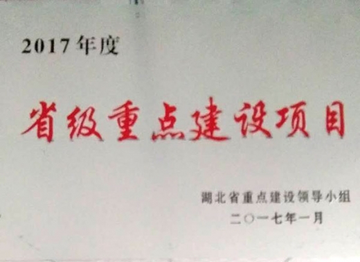 省級重點建設項目