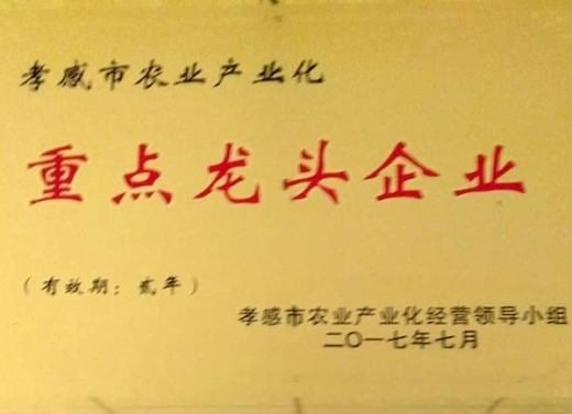 孝感市農業產業化重點龍頭企業獎牌